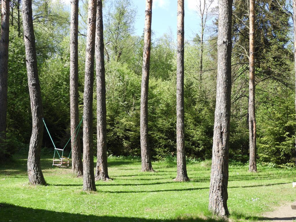 Chata Dáša High Tatras Mlynceky Bagian luar foto