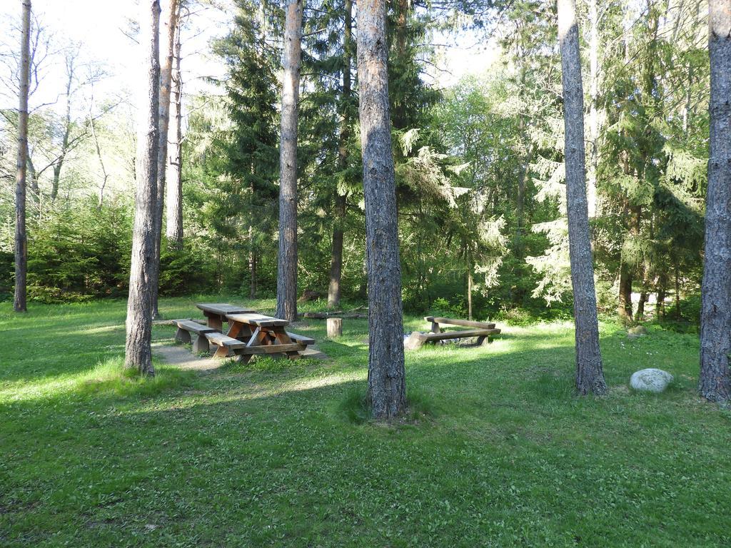 Chata Dáša High Tatras Mlynceky Bagian luar foto
